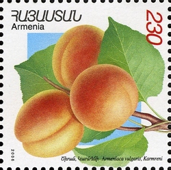 Stamp, Flora and Fauna of Armenia (XII issue) - Armeniaca vulgaris, Armenia,  