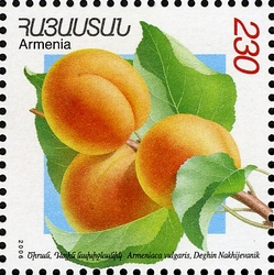 Flora and Fauna of Armenia (XII issue) - Armeniaca vulgaris