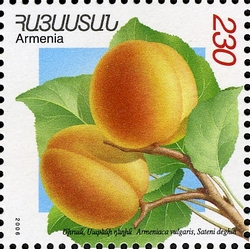 Stamp, Flora and Fauna of Armenia (XII issue) - Armeniaca vulgaris, Armenia,  