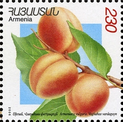 Stamp, Flora and Fauna of Armenia (XII issue) - Armeniaca vulgaris, Armenia,  