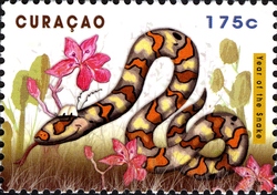 Year of the Snake