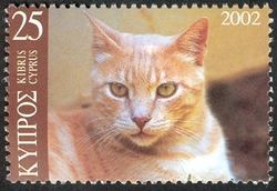 Cats