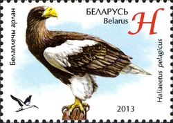 Stamp, Zoos in Belarus - Steller's Sea-eagle, Belarus,  