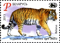 Stamp, Zoos in Belarus - Siberian Tiger, Belarus,  