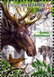 Stamp, Naliboki Pushcha, Belarus,  