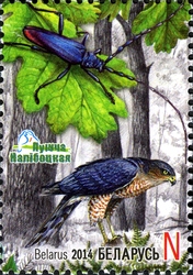 Stamp, Naliboki Pushcha, Belarus,  