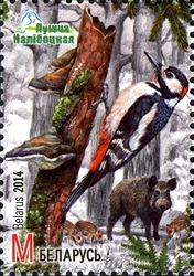 Stamp, Naliboki Pushcha, Belarus,  