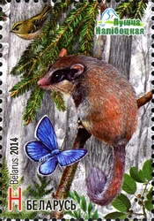 Stamp, Naliboki Pushcha, Belarus,  