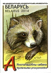 Definitive Issue - Wild Animals - Raccoon Dog