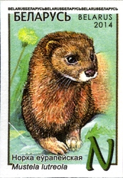 Definitive Issue - Wild Animals - European Mink