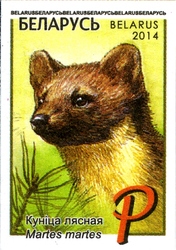 Definitive issue - Wild Animals - Common Marten