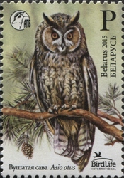 Stamp, Bird of the Year - Long-eared Owl, Belarus,  