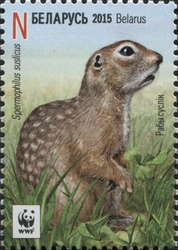 WWF - Speckled Ground squirrel