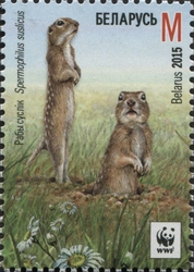 Stamp, WWF - Speckled Ground squirrel, Belarus,  