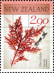 Stamp, New Zealand Native Seaweeds - Pterocladia lucida, New Zealand,  