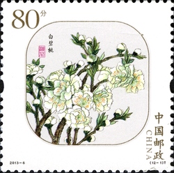 Peach Flowers