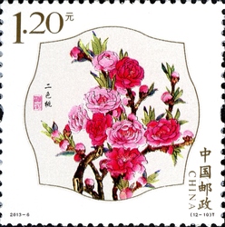 Peach Flowers