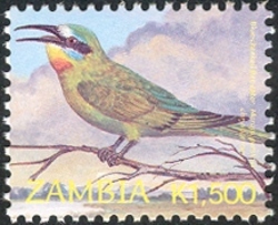 Birds of Zambia - new values - Merops  persicas