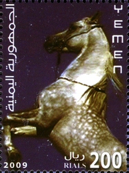 Yemen Horses