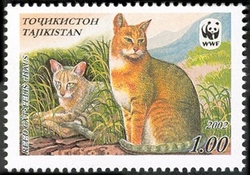 Stamp, WWF - Reed cat, Tajikistan,  