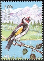 Nature of Middle Asia - goldfinch