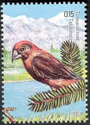 Nature of Middle Asia - red crossbill