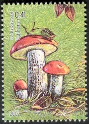 Stamp, Nature of Middle Asia - common caber stalk mushroom, Tajikistan,  