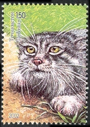 Nature of Middle Asia - Pallas' cat