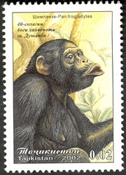 Stamp, 40 years of Dunshanbe Zoo - Chimpanzee, Tajikistan,  