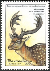 40 years of Dunshanbe Zoo - Deer