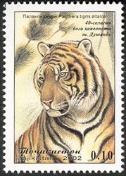 Stamp, 40 years of Dunshanbe Zoo - Tiger, Tajikistan,  