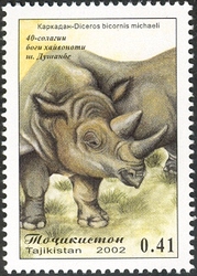 40 years of Dunshanbe Zoo - Rhinoceros