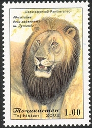 40 years of Dunshanbe Zoo - Lion