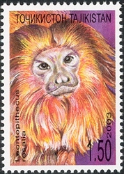 Stamp, Anthropoid lion's monkey Igrunka, Tajikistan,  