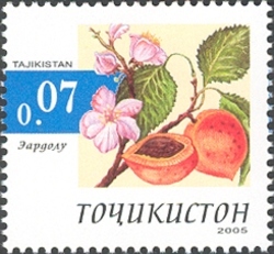 Fruits - Apricot