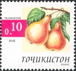 Fruits - Pear