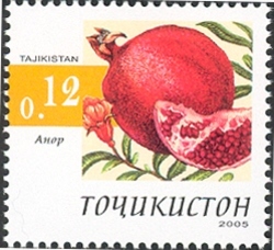 Fruits - Granatum