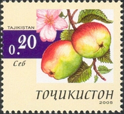 Fruits - Apple
