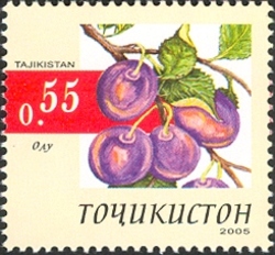 Fruits - Prune