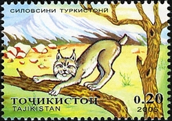 The predatory animals of Middle Asia - Turkestan's Lynx