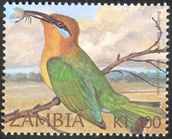 Birds of Zambia - Merops  boehmi