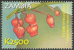 Stamp, Flora and Fauna of Zambia - Sandersonia aurantiaca, Zambia,  