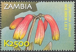 Stamp, Flora and Fauna of Zambia - Cyrtanthus obliquus, Zambia,  