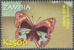 Stamp, Flora and Fauna of Zambia - Junonia orithya, Zambia,  