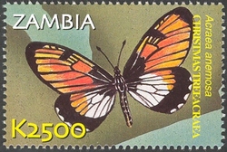 Flora and Fauna of Zambia - Acraea anemosa