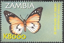 Flora and Fauna of Zambia - Danaus chrysippus