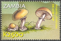 Stamp, Flora and Fauna of Zambia - Amanita phalloides, Zambia,  