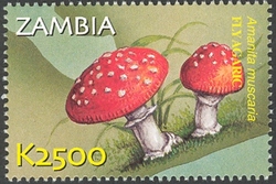 Stamp, Flora and Fauna of Zambia - Amanita muscaria, Zambia,  