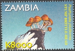 Stamp, Flora and Fauna of Zambia - Psathyrella piluliformis, Zambia,  