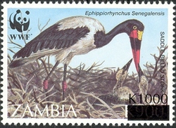 WWF overprint - Ephippiorhynchus Senegalensis